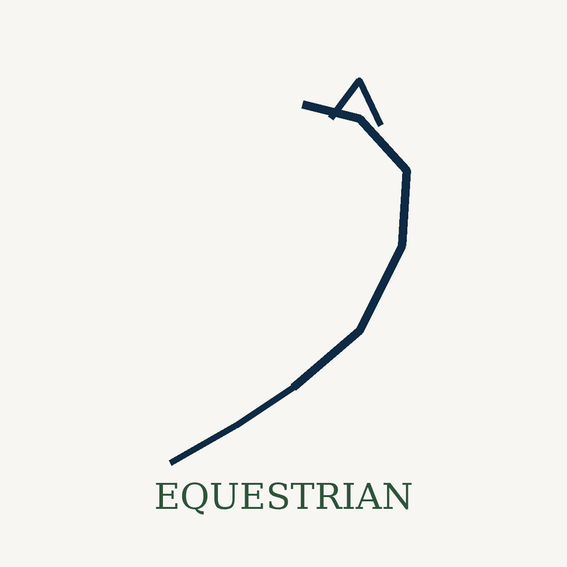 Line Horse Equestrian