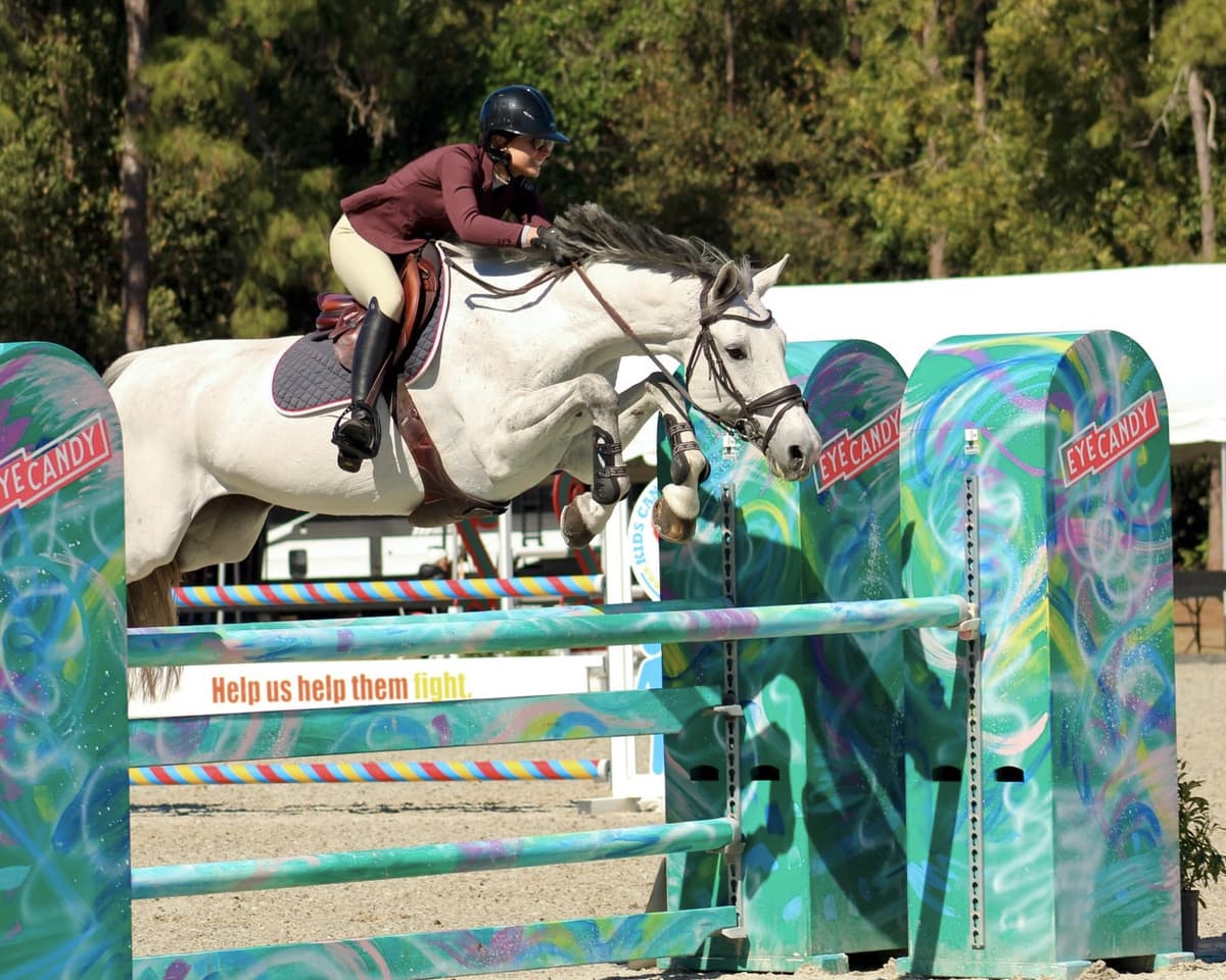 Prized Horse numbe 2