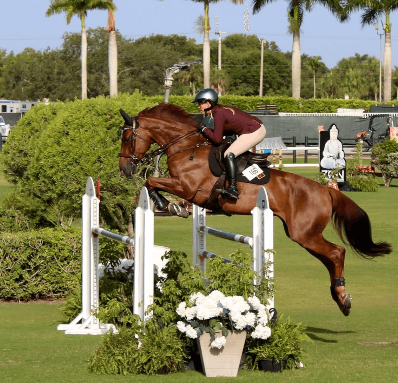 Vinicius Stables cover